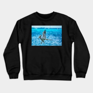 Landing HDR Crewneck Sweatshirt